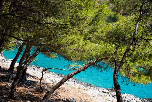 Gallery image of Salum in Trogir