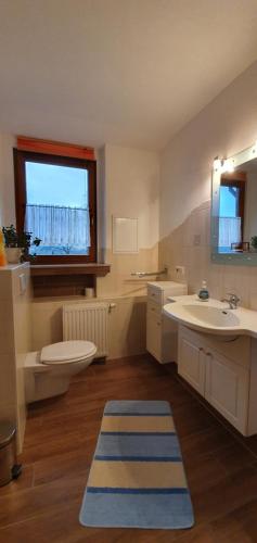 een badkamer met een wastafel, een toilet en een raam bij Ferienwohnung Kirnitzschtal in Ottendorf