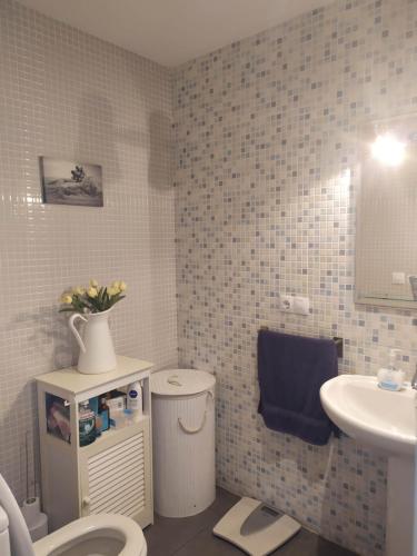 アルコセブレにあるLas Arenas Alcossebreのバスルーム(トイレ、洗面台付)