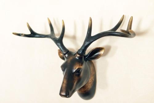 a stag head with antlers hanging on a wall at Löwenbräu am Kohlmarkt in Wernigerode