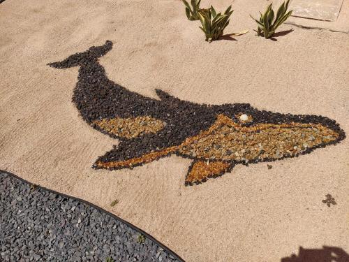 a shadow of a dog painted on the sidewalk at Club Cantamar Beach Hotel & Marina in La Paz