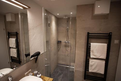 uma casa de banho com um chuveiro e um lavatório. em Apartment Vera em Saalfelden am Steinernen Meer
