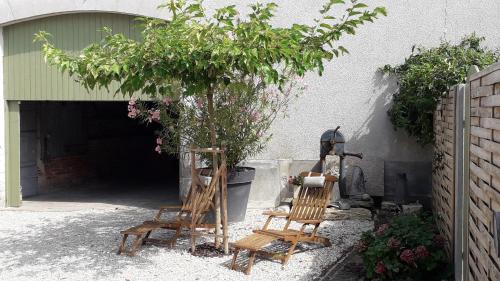 two chairs and a tree in front of a building at Meublé de tourisme La Maison d'Orgy in Chevannes