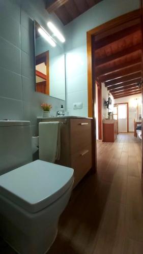 a bathroom with a toilet and a sink at Casa Rural La Resbala - Casa Tajinaste in La Orotava