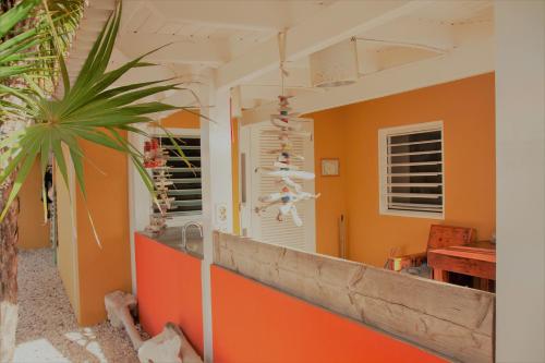 Φωτογραφία από το άλμπουμ του Barefoot Bonaire σε Κράλεντικ