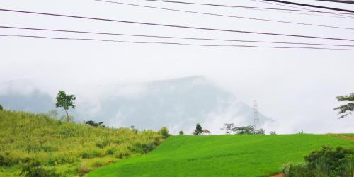 a green hill with power lines on top of it at บ้านเอื้อมดาว เขาค้อ in Ban Huai Phai