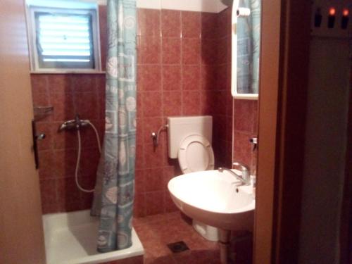 a bathroom with a toilet and a sink and a shower at 2 Apartm for rent in Korcula in Korčula