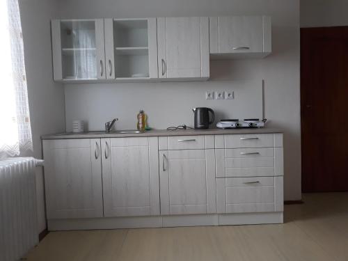 Kuchyň nebo kuchyňský kout v ubytování Privat Severka