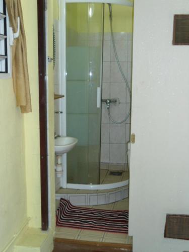 une salle de bain avec douche et lavabo dans l'établissement Chambres D'hôtes AISSA, à Saint-Denis