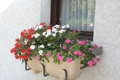 a pot of flowers on a window sill at Studio "Le Plan du Crêt" in Mercury