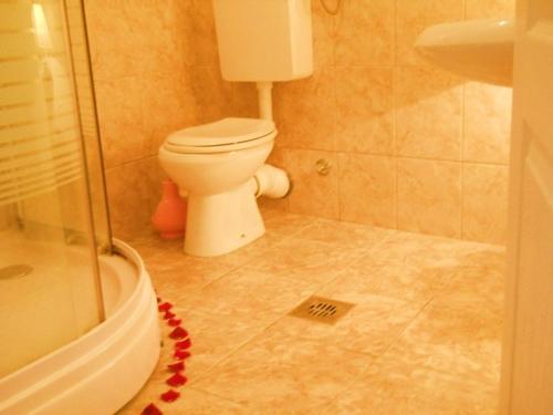 W łazience znajduje się biała toaleta i prysznic. w obiekcie Apartmani M Igalo Crna Gora w mieście Igalo
