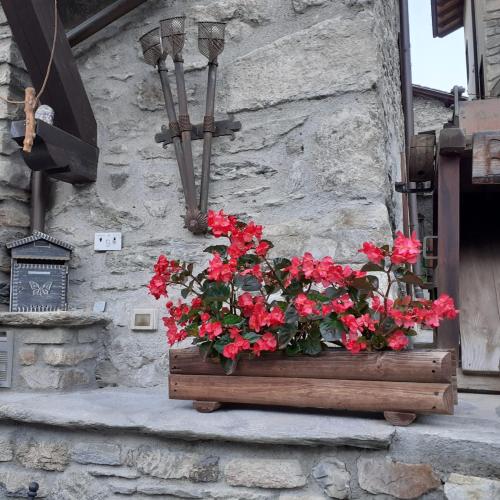 a wooden box with red flowers on a wall at Hotel Ottoz Meublé in Courmayeur