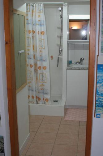 een badkamer met een douche en een wastafel bij Studio "Le Plan du Crêt" in Mercury