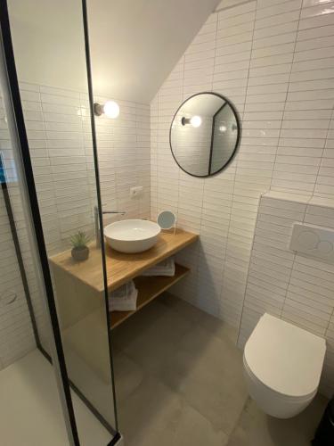 a bathroom with a toilet and a sink and a mirror at Quadratum 1769 in Herzele