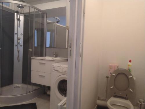 La salle de bains est pourvue d'un lave-linge et d'un lavabo. dans l'établissement Appartement hypercentre au 1er, ZOO - 24h du Mans, à La Flèche