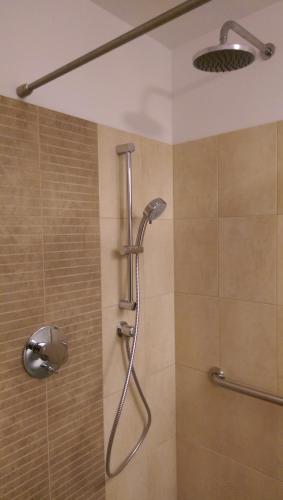 a shower with a shower head in a bathroom at Aterman Apartment's in Şinca Veche
