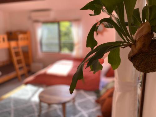a vase with a plant in a living room at Guest House LAMP Lake Nojiri in Shinano