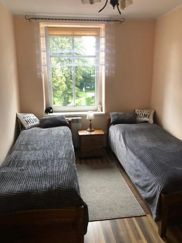 2 camas num quarto com uma janela em Apartament "U OLI" em Lądek-Zdrój