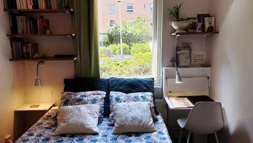 um quarto com uma cama com almofadas e uma janela em Entire private 2 rooms apartment in city center of Malmö close to Copenhagen em Malmo