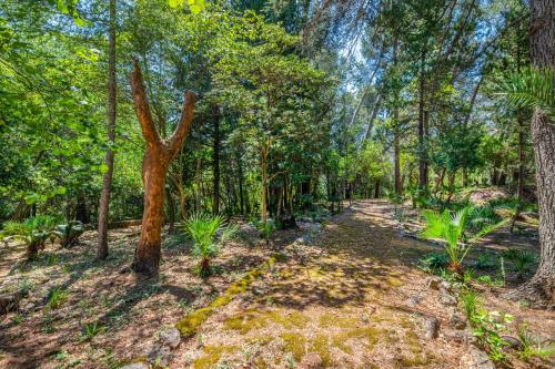 Zahrada ubytování Son Grua Agroturismo - Adults only