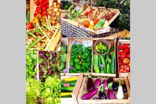 a collage of fruits and vegetables in baskets at Le Gîte - La Ferme du Pouget in Saint-Jean-du-Gard