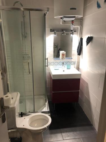 a bathroom with a shower and a toilet and a sink at Joli studio SCANDINAVE in Milly-la-Forêt