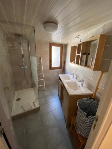 une salle de bain avec une douche, un lavabo et un miroir dans l'établissement Appartement cosy Sérignan, à Sérignan