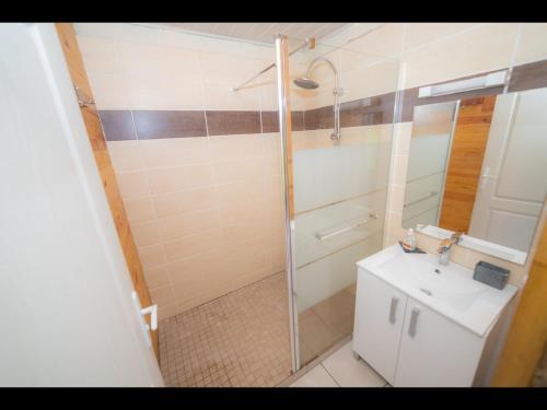 a small bathroom with a shower and a sink at Chalet rodali in Saint-Pierre