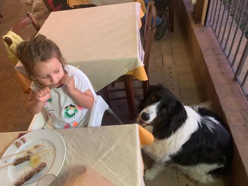 a little girl sitting in a chair next to a dog at SetterHouseAgriHotel in Trevi