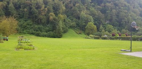 a park with a basketball hoop in the grass at Hiša stare mame in Kamnik