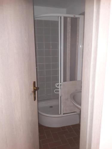 Koupelna v ubytování Apartman V Podbabe