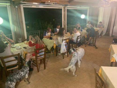 a group of people sitting at tables in a restaurant with two dogs at SetterHouseAgriHotel in Trevi