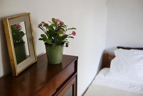 a potted plant on a table next to a mirror at Les Oiseaux de Passage in Saint-Gaultier