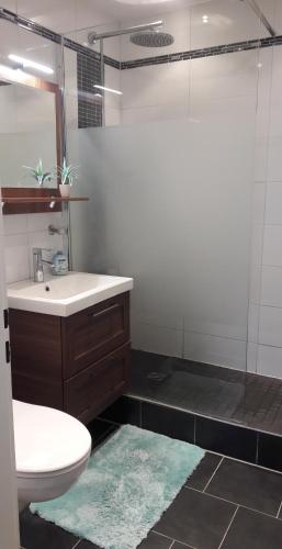 a bathroom with a toilet and a sink and a shower at Ferienwohnung Siesta in Bad Harzburg