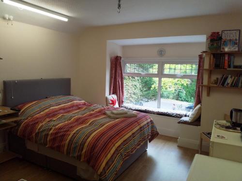 a bedroom with a bed and a window at Spacious King Bedroom in Grantham Lincolnshire in Grantham