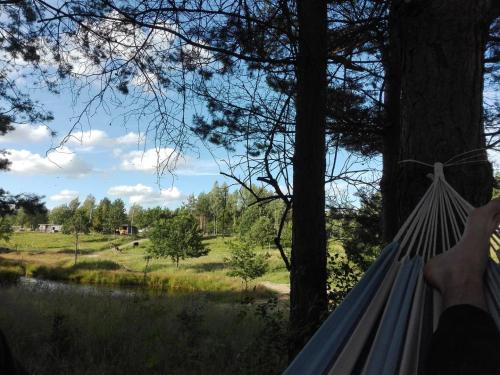 a person lying in a hammock looking out at a field at Koziula - Domki i Leśne SPA na Kaszubach in Przywidz