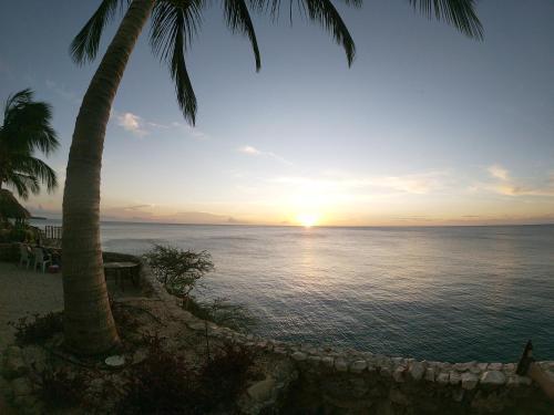 a sunset over the ocean with a palm tree at Breathtaking View - Playa Lagun - Curacao in Lagun