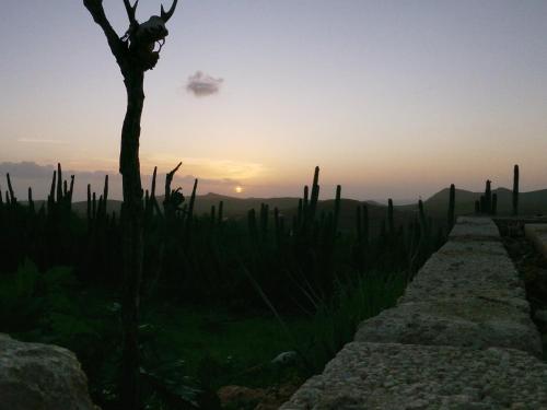 a tree and a fence with the sunset in the background at Breathtaking View - Playa Lagun - Curacao in Lagun