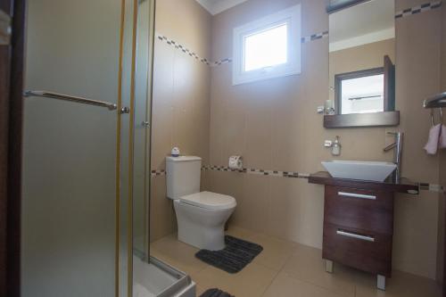 uma casa de banho com um WC, um lavatório e um chuveiro em Ariella Villa em Protaras