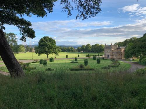 Tranquil Place in Dundee near Docks في دندي: منزل قديم في حقل عشبي مع شجرة