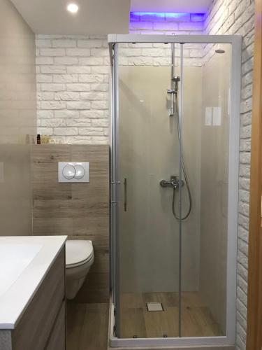 a bathroom with a glass shower with a toilet at Apartman Tijana in Budva