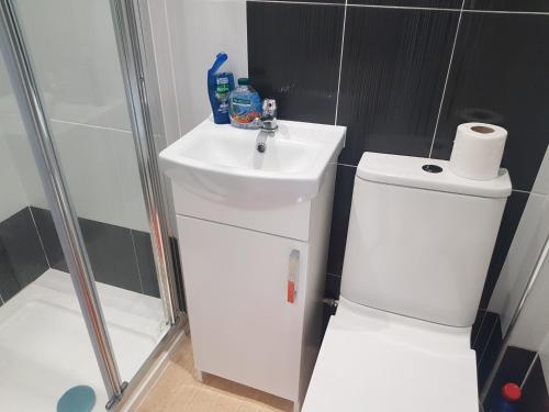 a bathroom with a toilet and a sink and a shower at Observation Court in Ipswich