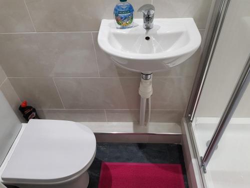 La salle de bains est pourvue d'un lavabo et de toilettes. dans l'établissement Taj Suite, à Ipswich