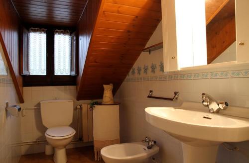 a bathroom with a toilet and a sink at Casa Rural la Comella in Barruera