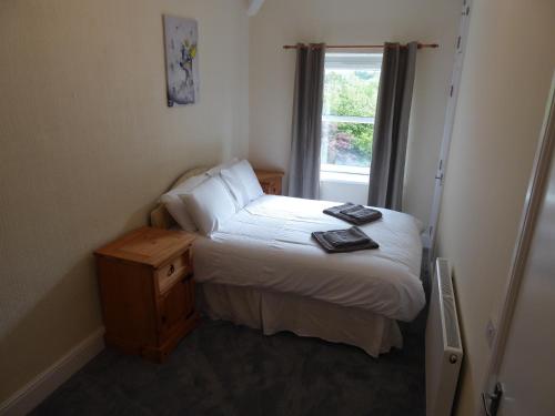 Postel nebo postele na pokoji v ubytování Gwynedd House Flat 3