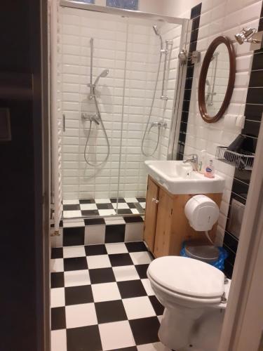 W łazience znajduje się toaleta, prysznic i umywalka. w obiekcie Apartament Cafe Belg w mieście Częstochowa