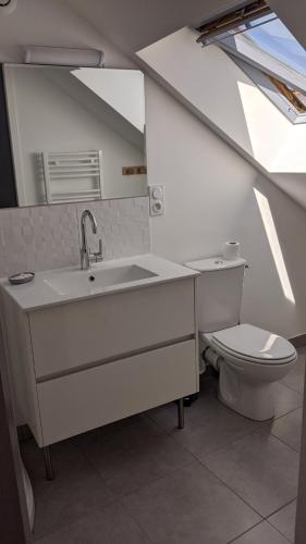 a bathroom with a sink and a toilet at Maison ville Jean-Moulin lumineuse, spacieuse , Jardin, zoo, Prytanée, 3 chbres, 6 pers in La Flèche