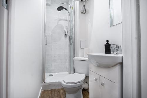 ein Bad mit einer Dusche, einem WC und einem Waschbecken in der Unterkunft Dream Aparts-Rewolucji 2 in Łódź