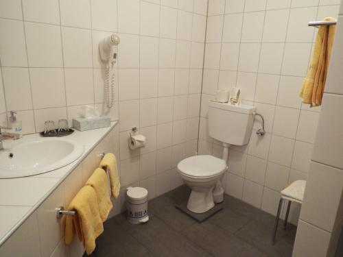 Hotel garni Zum Reinhardswald في Gewissenruh: حمام مع مرحاض ومغسلة