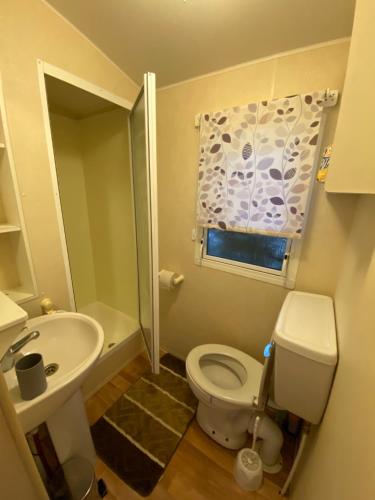 een kleine badkamer met toilet en wastafel bij Mobilný domček in Terchová